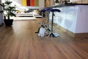 WO-LS-3-NB-Mansion-Hill-Kitchen-Cat