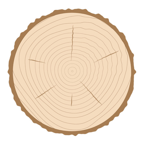 Oak Rays Rift and Quarter Sawn | Hickman Woods